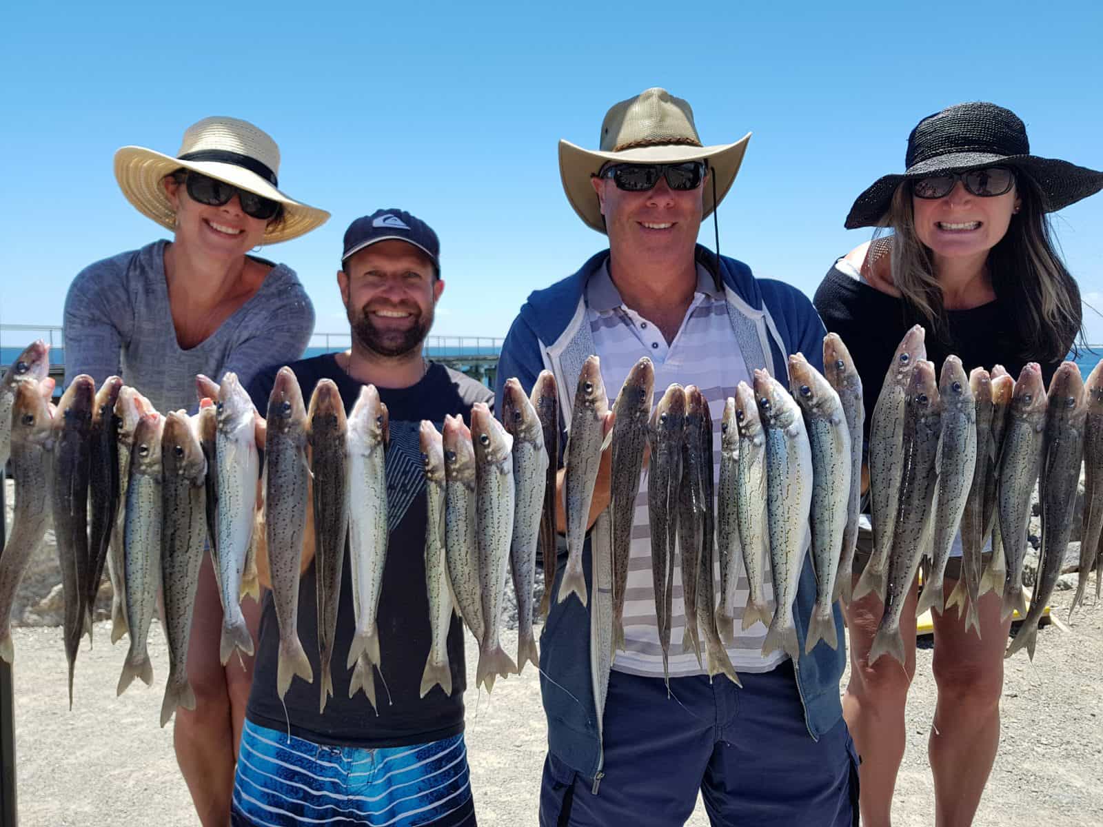 Reel Screamer Fishing Charters