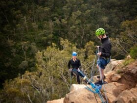 Guided Abseil with comprehensive instruction