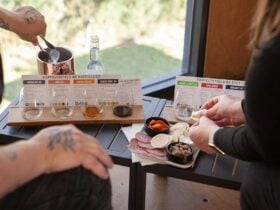 Gin tasting flight with people enjoying a cheese platter