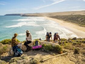 Explore secluded beaches along the Wild South Coast Way