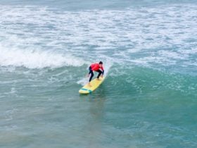 surfingmiddleton