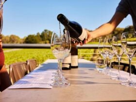 Tapanappa Tasting on the deck