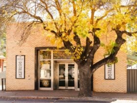 The tree lined Melrose St front image of the old Bank SA building which houses Robbers Dog