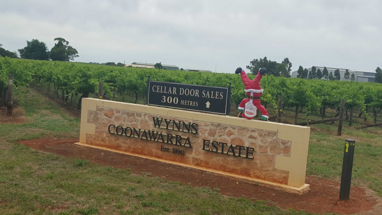 Coonawarra winery tours