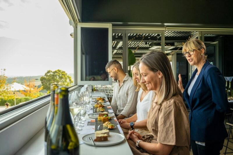 The Lane Vineyard Gathering Experience