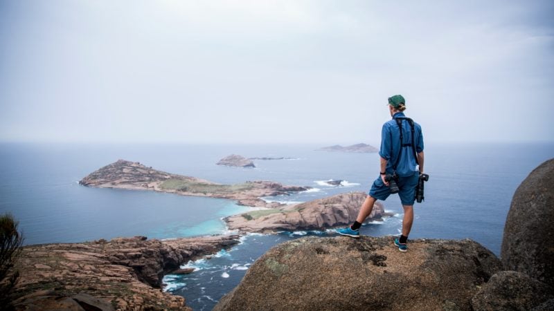 Pearson Cove True North