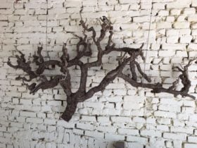 Vine Art