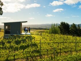 Wine Tours Adelaide