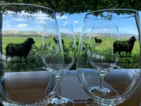 Wine glasses with the Black Sheep logo on the glasses, wine tasting tours in McLaren Vale