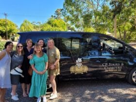 Barossa and Hahndorf Hill Tour