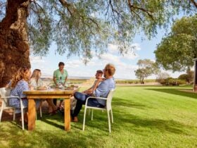 Barossa Wine Tours