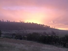3 Sheep Farm