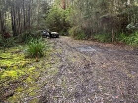 Large area suited for camper trailers, vans, tents or swags. Not suitable for large caravans.