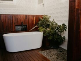 white freestanding bath, surrounded by plants and timber panelling.