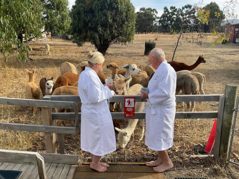 Alpaca pod