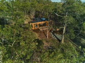 Aerial view of a timber cabin amongst the Gums