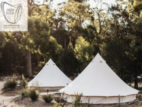 Bell Tents