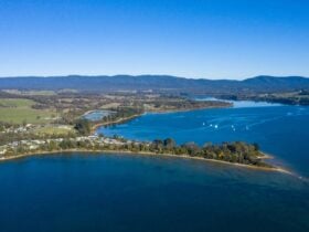 Overview of Beauty Point Tourist Park