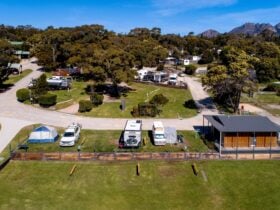 Powered Sites Camping