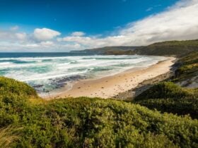Cockle Creek Camping