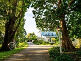 Looking down the driveway