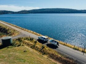 Bradys Lake