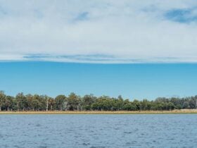 A still lake with a shoreline and trees in the background