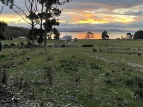 Bruny Island Bush Camp