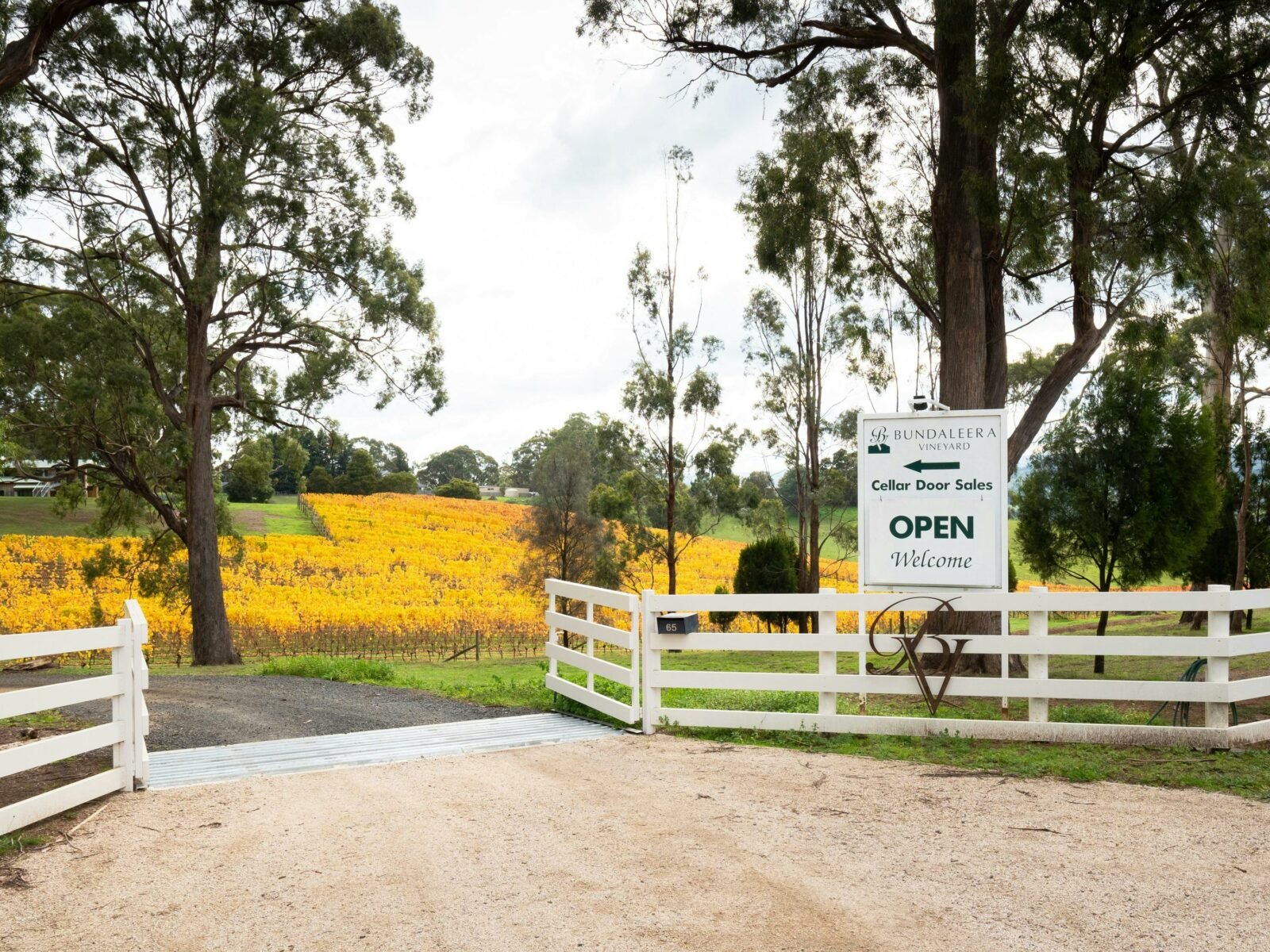 Entrance driveway into Bundaleera Vineyard