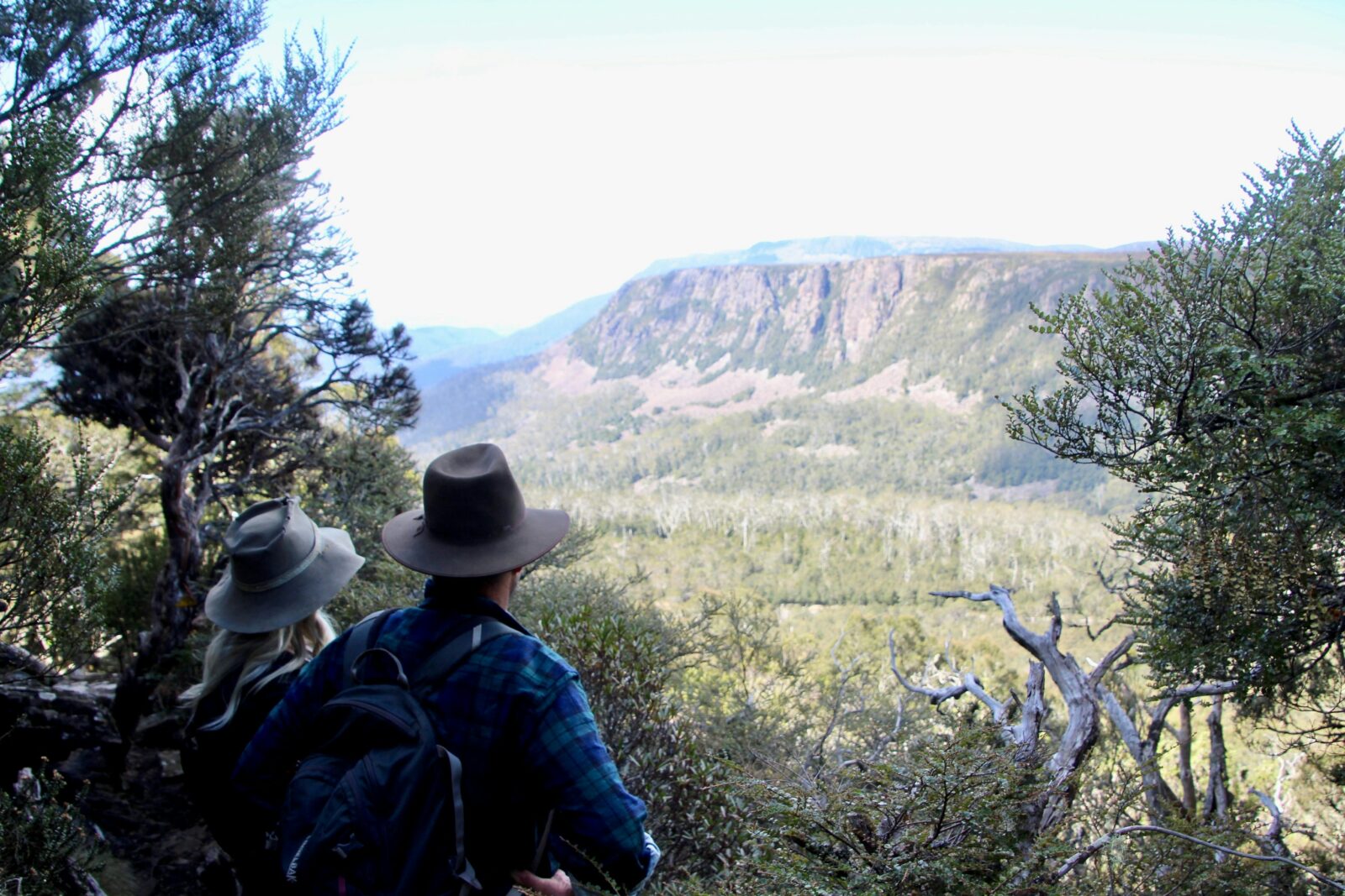 bushwalking opportunity