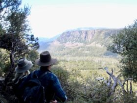 bushwalking opportunity