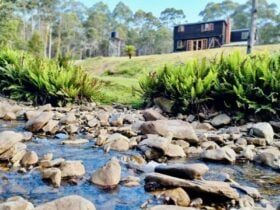 A cabin in the background of a creek in Tasmanian wilderness