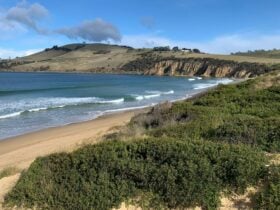 5 minute walk away
