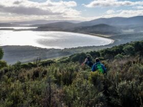 Jetty Beach Camping