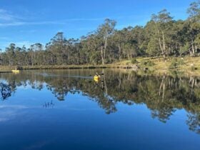 Cradle Mountain Fishery and Camping