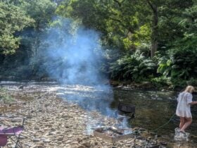 Dragon River Campground