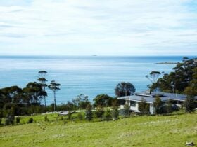 The House and view
