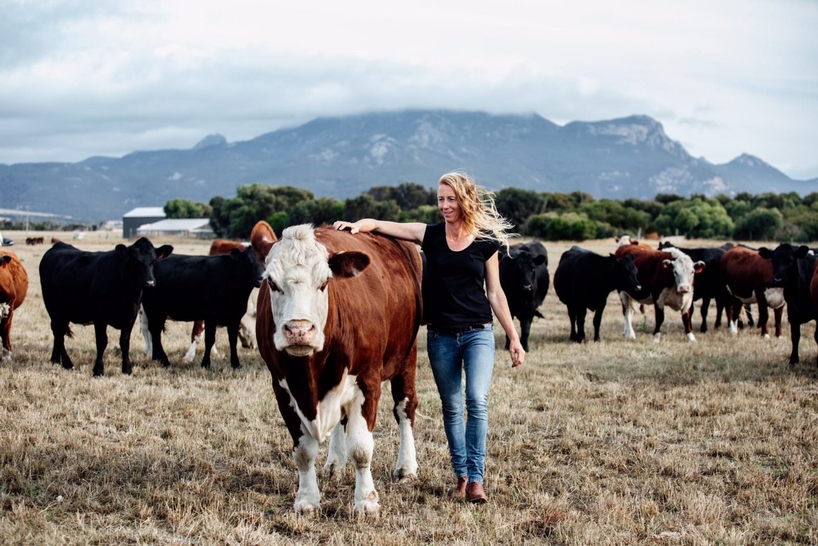 Echo Hills Cottage is on a lush sheep and cattle property