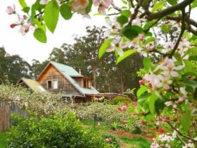 Elvenhome Eco Farmstay Tasmania