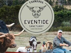 Eventide Sanctuary