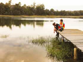 The old jetty - Franklin Rivulet