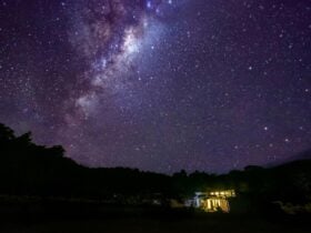 clear skys over forest Walks Lodge show many stars