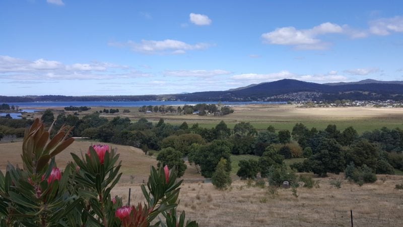 Property & Surrounds