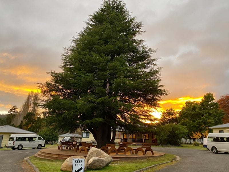 Our beautiful centrepiece