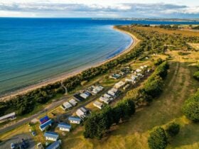 Aerial photo of the beach and caravan park