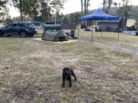 Harveydale Campsite