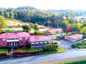View from above of Kermandie property . Buildings and forest begind,