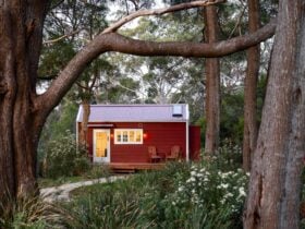 Tiny house in Tasmanian bush