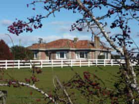 Little Sunnyside House