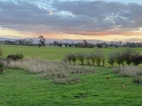Longford Sunset Haven
